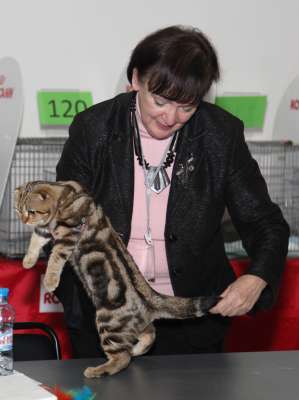 �������� ����� '������� ���-�����' 30 ������-1 ������� 2013., ������������ ��� 3140